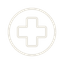 Healthcare IT Icon